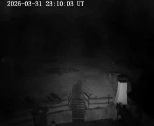 Skiareál Horní Podluží - Nástupní stanice vleků Horní Podluží - 1.4.2026 v 00:15 Skiareál Horní Podluží - Nástupní stanice vleků Horní Podluží - 1.4.2026 v 00:15