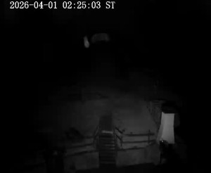 Skiareál Horní Podluží - Nástupní stanice vleků Horní Podluží - 1.4.2026 v 03:30 Skiareál Horní Podluží - Nástupní stanice vleků Horní Podluží - 1.4.2026 v 03:30