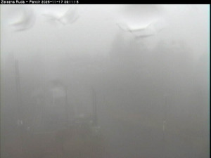 Špičák - Pancíř - 17.11.2025 v 09:15 Špičák - Pancíř - 17.11.2025 v 09:15