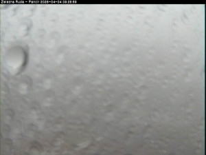 Špičák - Pancíř - 4.4.2026 v 09:30 Špičák - Pancíř - 4.4.2026 v 09:30