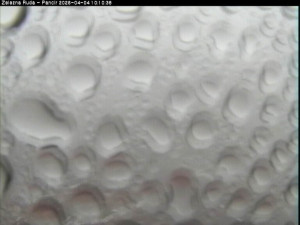 Špičák - Pancíř - 4.4.2026 v 10:15 Špičák - Pancíř - 4.4.2026 v 10:15