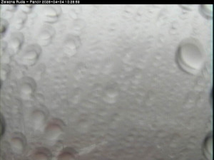 Špičák - Pancíř - 4.4.2026 v 10:30 Špičák - Pancíř - 4.4.2026 v 10:30