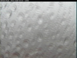 Špičák - Pancíř - 4.4.2026 v 11:30 Špičák - Pancíř - 4.4.2026 v 11:30