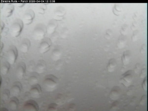 Špičák - Pancíř - 4.4.2026 v 12:15 Špičák - Pancíř - 4.4.2026 v 12:15