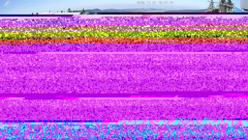 Snímek 7.11.2025 v 13:02