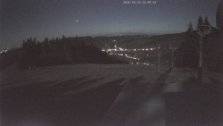 Marta I.