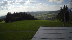 Marta I.