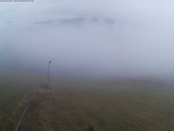 Snímek    3.11.2025 v 11:45