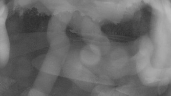 Snímek    26.10.2025 v 05:45