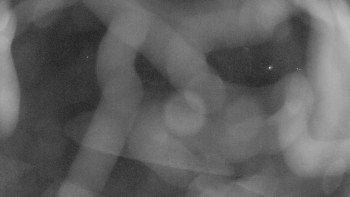 Snímek    29.10.2025 v 18:15