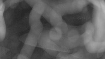 Snímek    31.10.2025 v 00:30