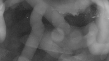 Snímek    31.10.2025 v 05:30