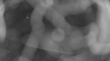 Snímek    2.11.2025 v 23:30