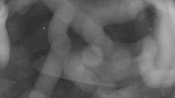 Snímek    3.11.2025 v 00:15