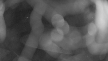 Snímek    3.11.2025 v 00:45