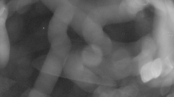 Snímek    3.11.2025 v 02:30