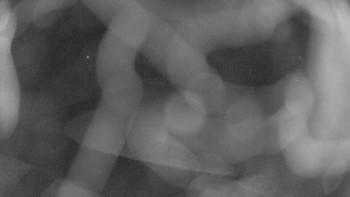 Snímek    3.11.2025 v 02:45