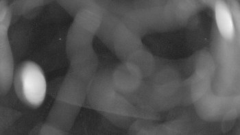 Snímek    3.11.2025 v 03:00