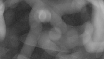 Snímek    3.11.2025 v 03:15