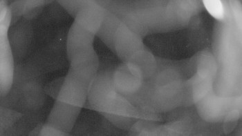 Snímek    3.11.2025 v 03:30