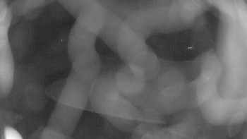 Snímek    3.11.2025 v 04:15