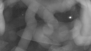 Snímek    3.11.2025 v 06:00