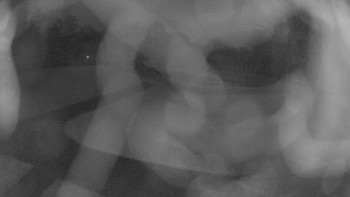 Snímek    3.11.2025 v 17:15