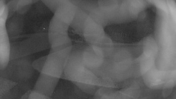 Snímek    4.11.2025 v 00:00