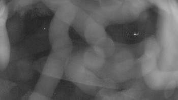 Snímek    4.11.2025 v 05:45