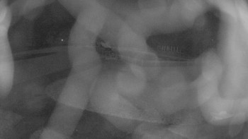 Snímek 5.11.2025 v 01:45