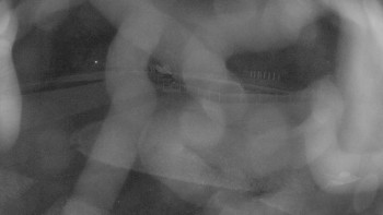 Snímek 5.11.2025 v 02:15