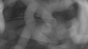 Snímek 5.11.2025 v 02:45