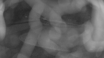 Snímek 5.11.2025 v 03:00