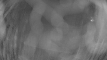 Snímek 5.11.2025 v 04:15