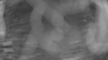 Snímek 5.11.2025 v 04:45