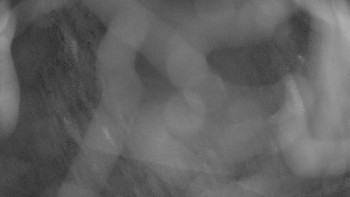 Snímek 5.11.2025 v 05:15