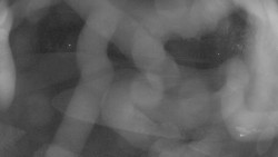 Areál koupaliště Holešov