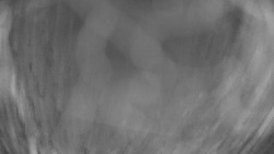 Areál koupaliště Holešov