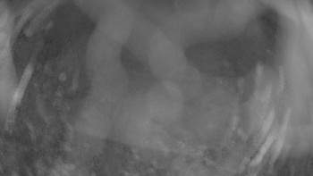 Snímek 6.11.2025 v 00:00