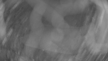 Snímek 6.11.2025 v 01:15