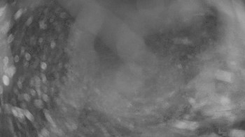 Snímek 6.11.2025 v 01:45