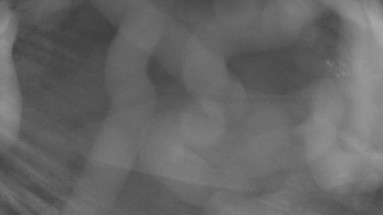 Snímek 6.11.2025 v 02:15