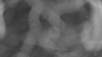 Snímek 6.11.2025 v 04:00