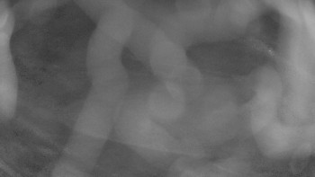 Snímek 6.11.2025 v 04:15