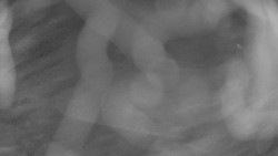 Areál koupaliště Holešov