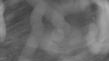 Snímek 6.11.2025 v 04:30