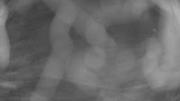 Snímek 6.11.2025 v 04:45