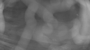 Snímek 6.11.2025 v 05:00