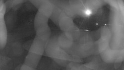 Areál koupaliště Holešov