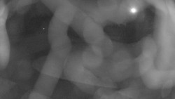 Areál koupaliště Holešov